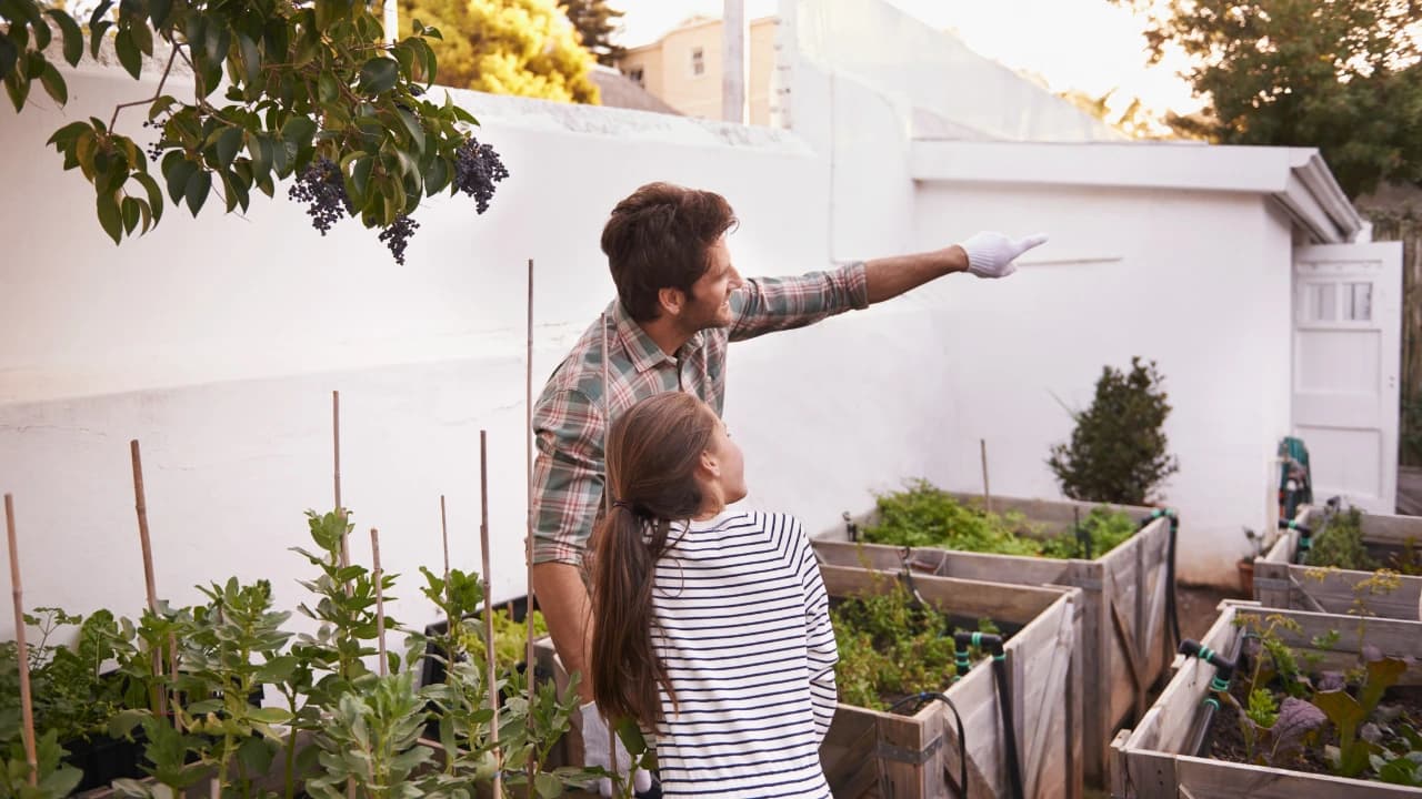 Container Gardening Tips for Limited Spaces